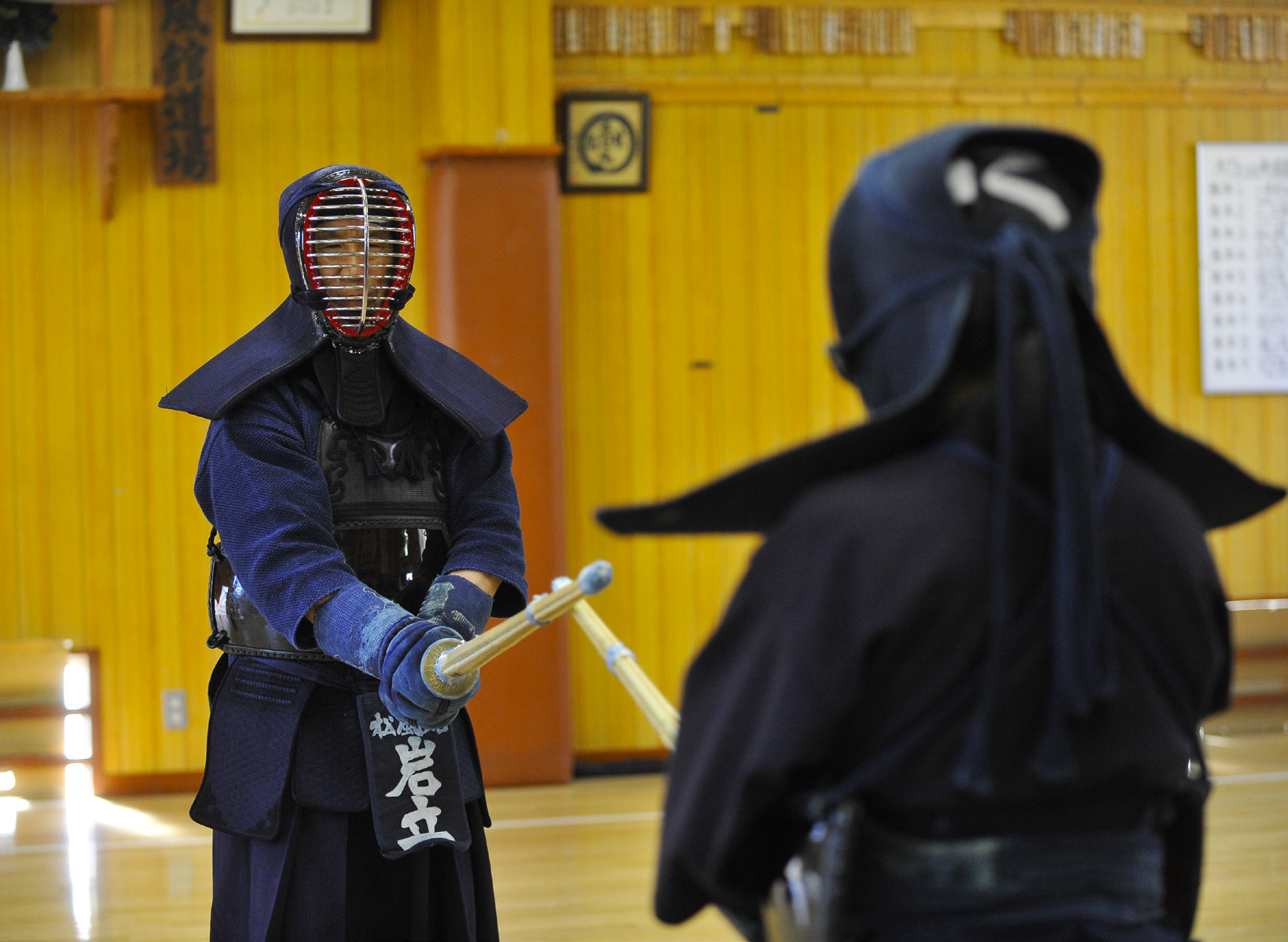 kendo targets